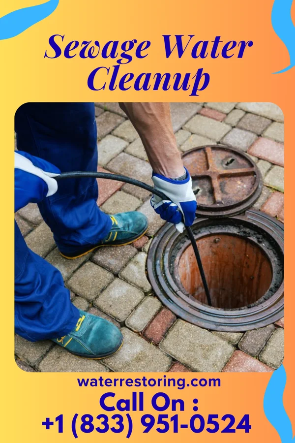 Sewage Water Cleanup in Johnsburg, IL